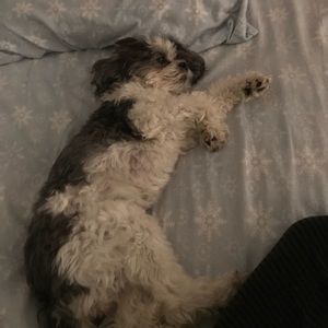 Meet your Posher, Colleen